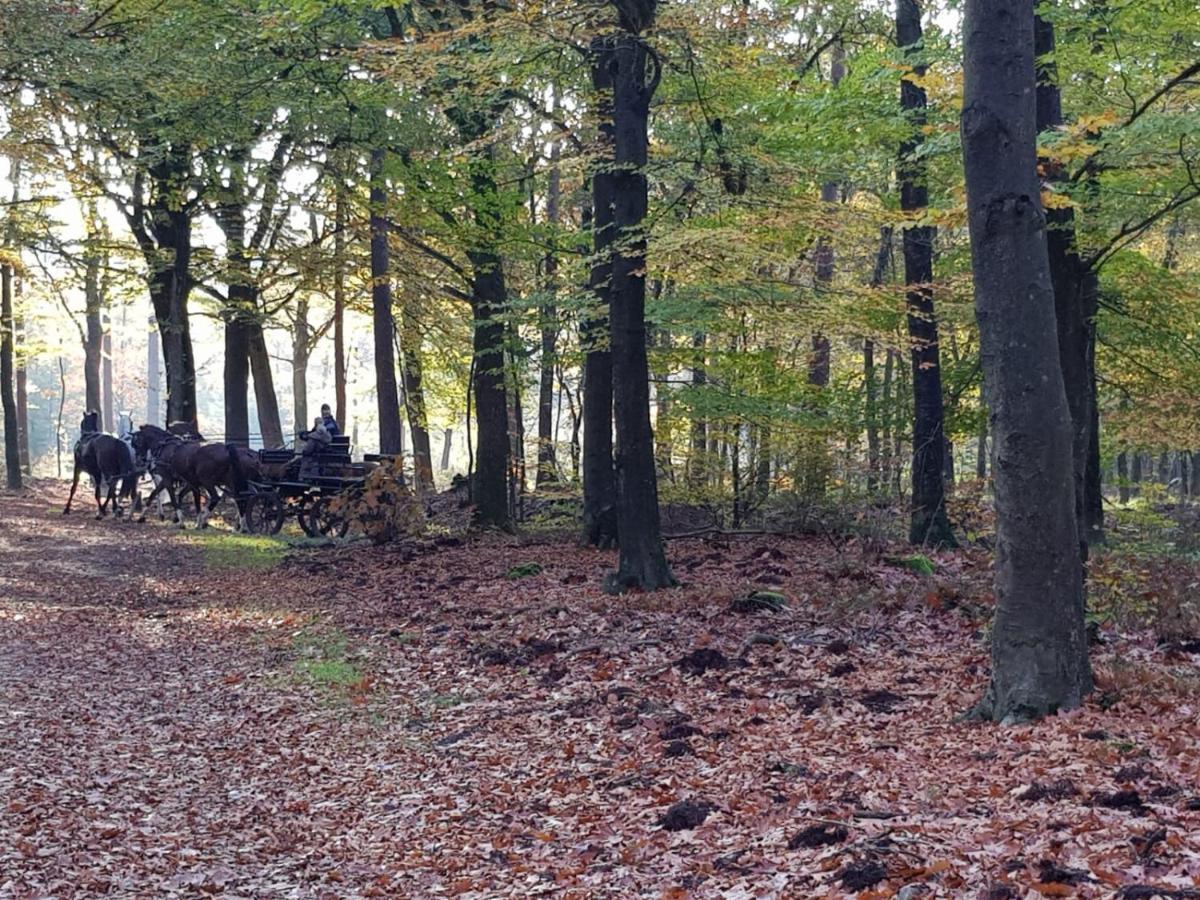 Villa Reewold Veluwe Putten Exterior foto